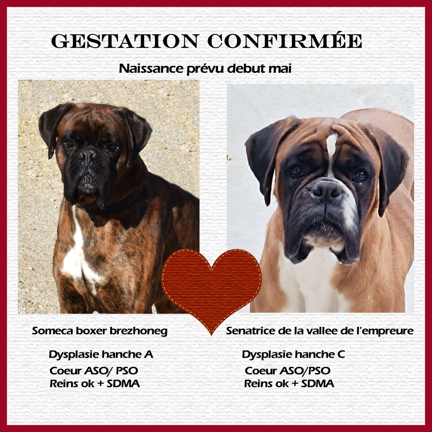 Prochaine naissance prévu debut mai