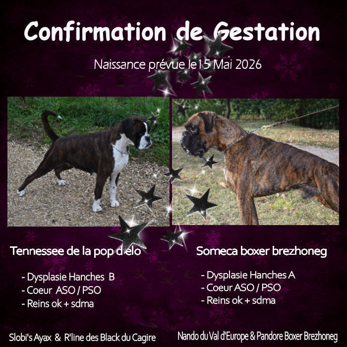 Bientot des bébés !!!!