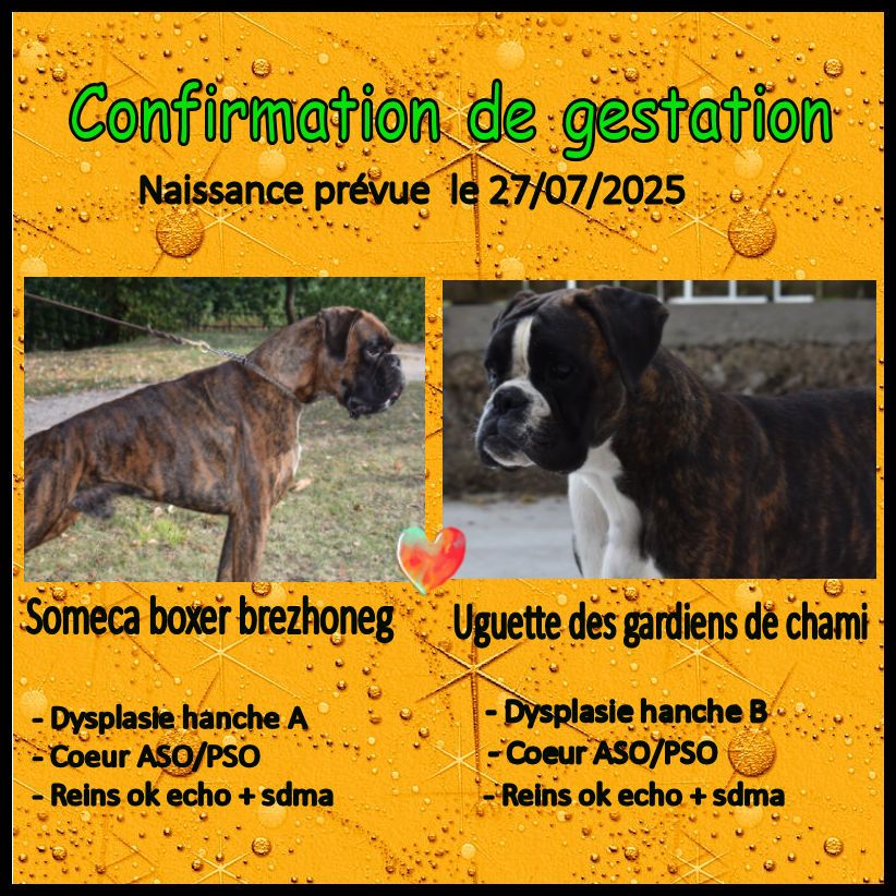 prochaine naissance attendu fin juillet !! 